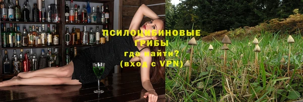 винт Алзамай