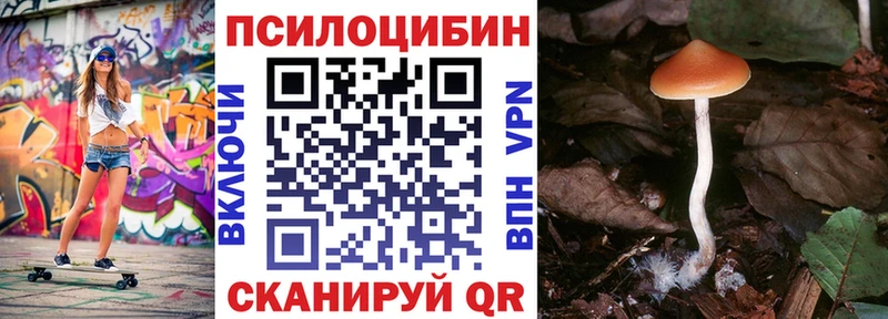 сколько стоит Чебаркуль Галлюциногенные грибы прущие грибы